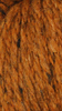 Queensland Kathmandu Aran