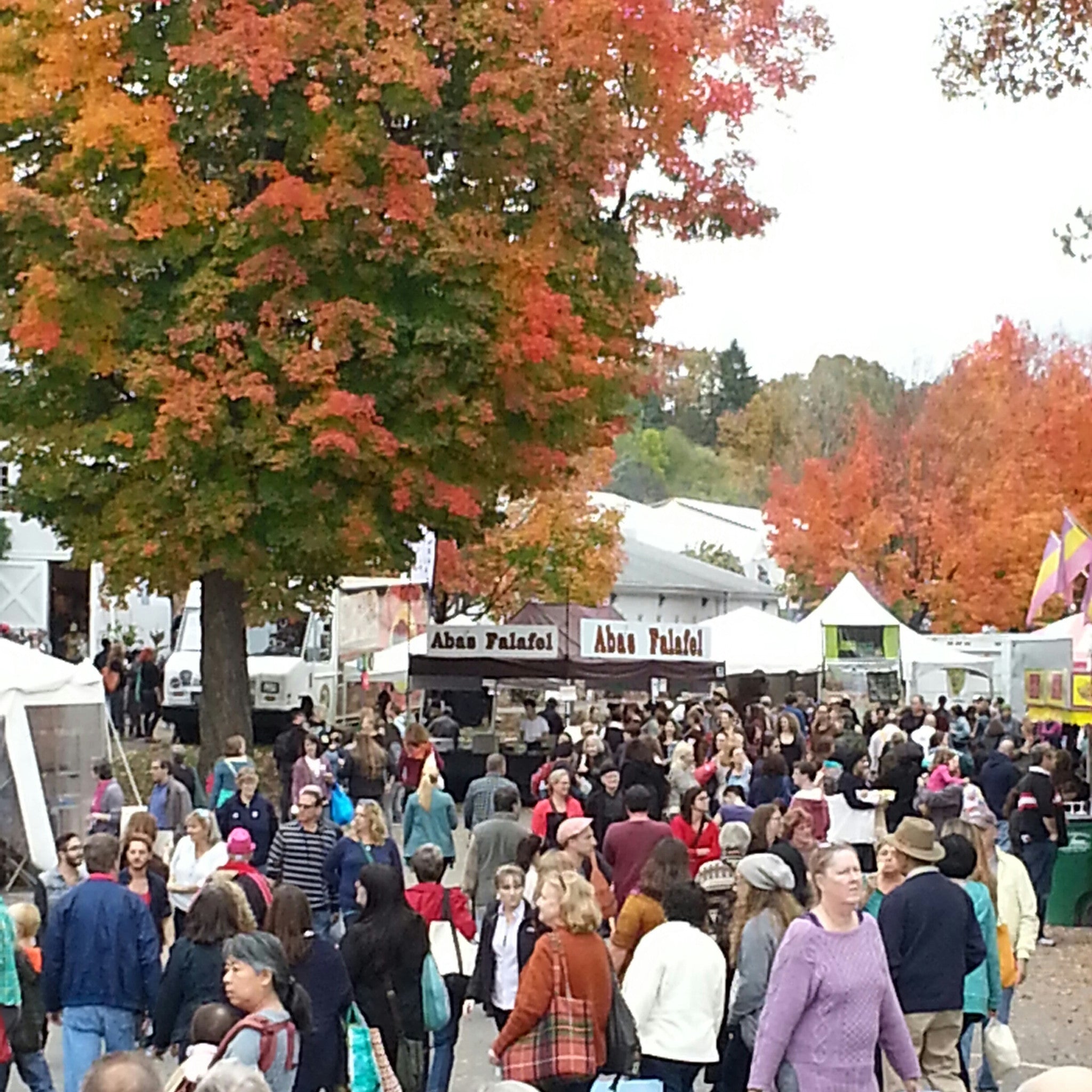 Who wants to go to Rhinebeck?!