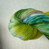 Bobolink Yarns Settlement Sock