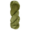 Araucania Huasco Sock Kettle Dyes