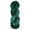 Araucania Huasco Sock Kettle Dyes