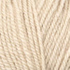 Plymouth Encore Worsted