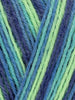 West Yorkshire Spinners Signature 4 Ply